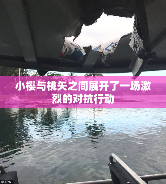 小樱与桃矢之间展开了一场激烈的对抗行动