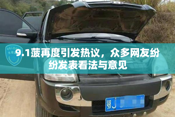 9.1菠再度引发热议，众多网友纷纷发表看法与意见