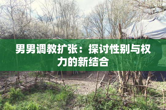 男男调教扩张：探讨性别与权力的新结合