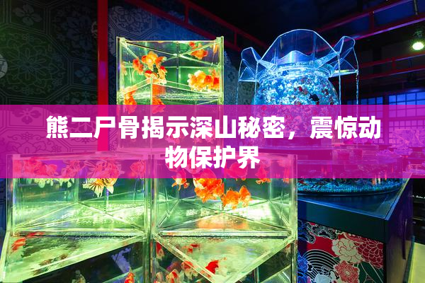 熊二尸骨揭示深山秘密，震惊动物保护界