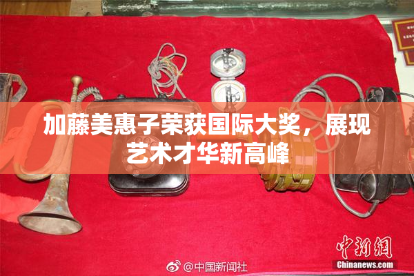 加藤美惠子荣获国际大奖，展现艺术才华新高峰
