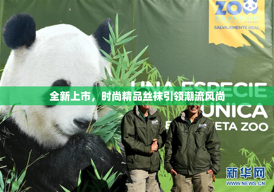全新上市，时尚精品丝袜引领潮流风尚
