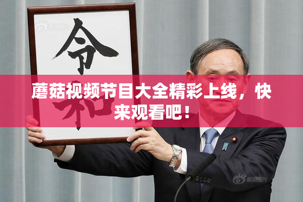 蘑菇视频节目大全精彩上线，快来观看吧！