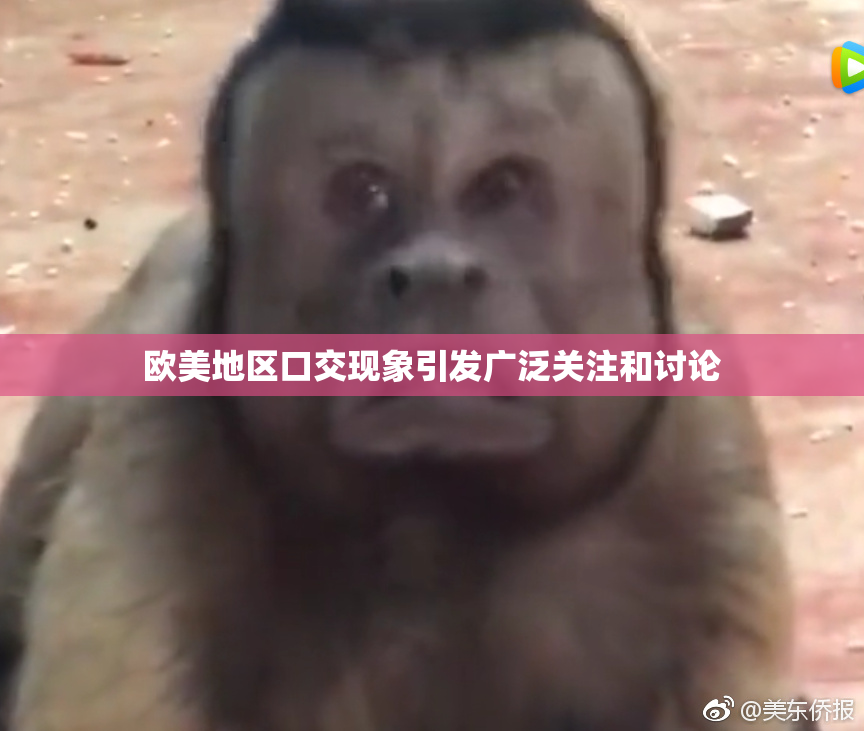 欧美地区口交现象引发广泛关注和讨论
