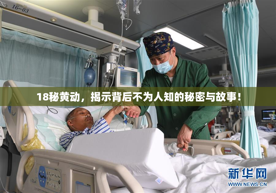 18秘黄动，揭示背后不为人知的秘密与故事！
