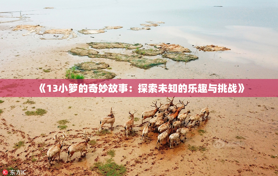 《13小箩的奇妙故事：探索未知的乐趣与挑战》