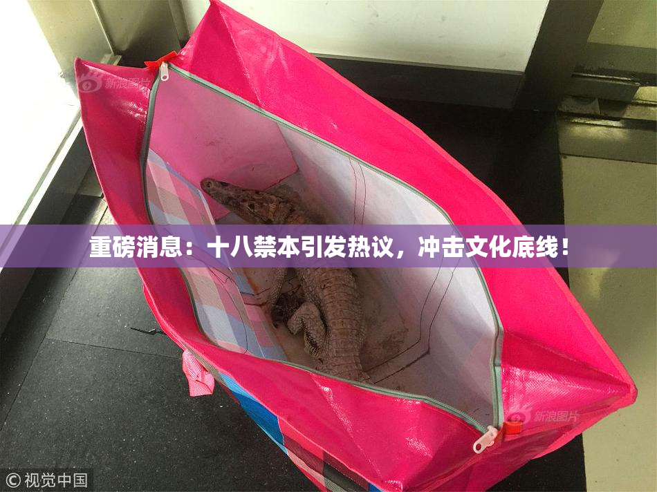重磅消息：十八禁本引发热议，冲击文化底线！