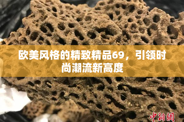 欧美风格的精致精品69，引领时尚潮流新高度