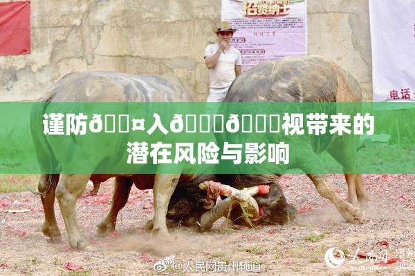 谨防🐤入🍑🍑视带来的潜在风险与影响