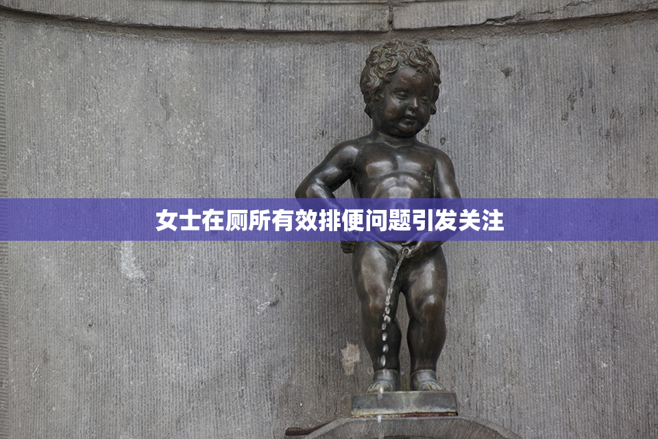 女士在厕所有效排便问题引发关注