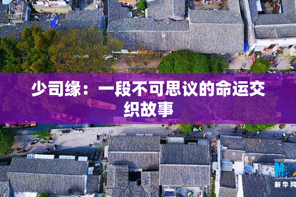 少司缘：一段不可思议的命运交织故事