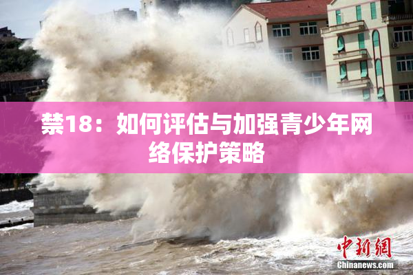 禁18：如何评估与加强青少年网络保护策略
