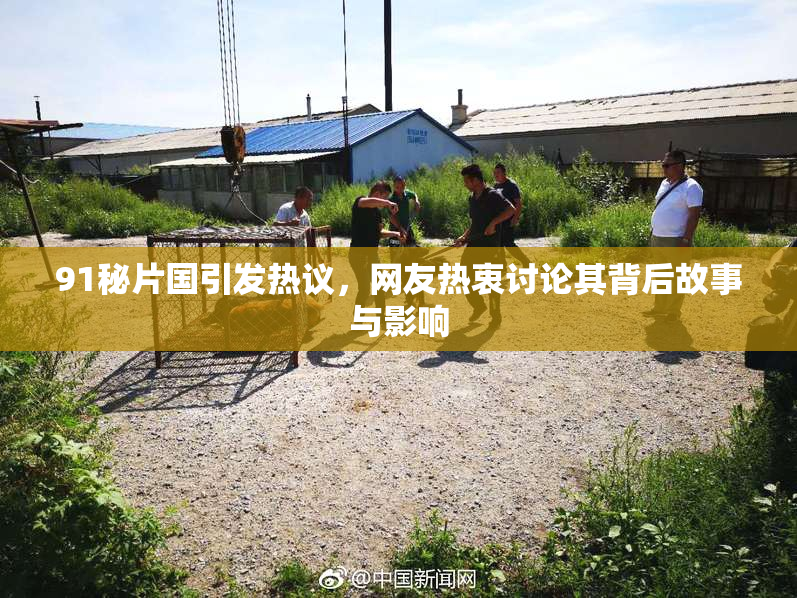 91秘片国引发热议，网友热衷讨论其背后故事与影响