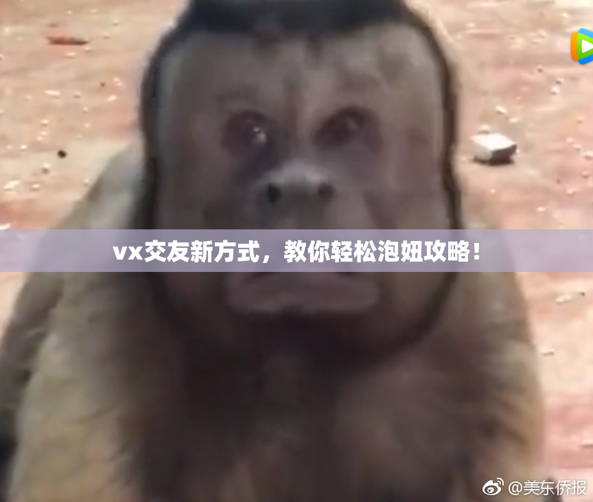 vx交友新方式，教你轻松泡妞攻略！