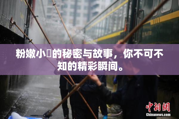 粉嫩小泬的秘密与故事，你不可不知的精彩瞬间。