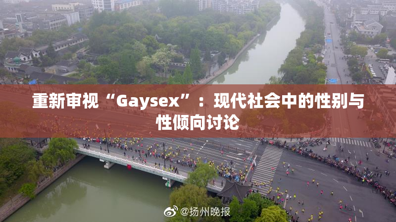 重新审视“Gaysex”：现代社会中的性别与性倾向讨论