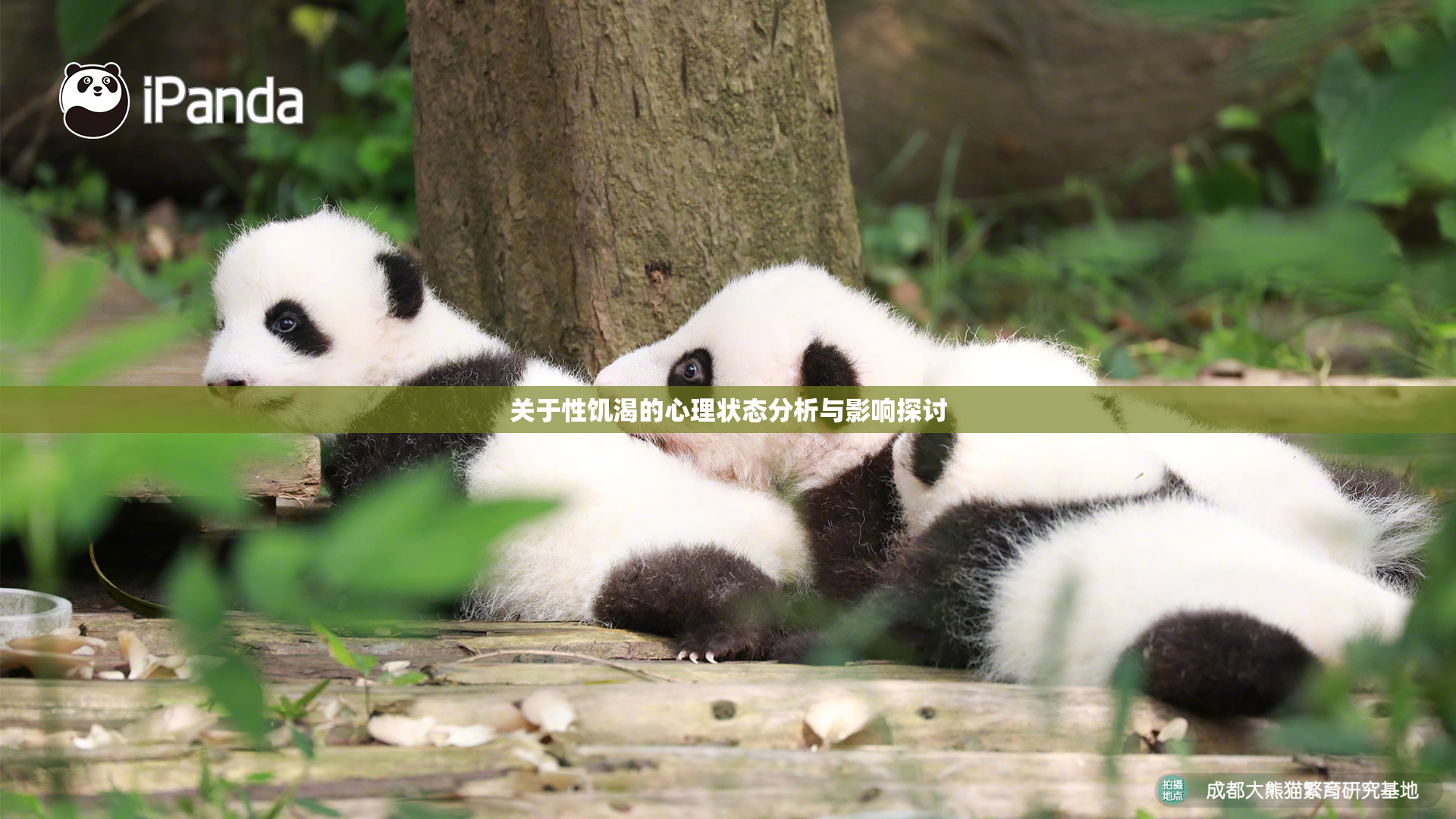 关于性饥渴的心理状态分析与影响探讨