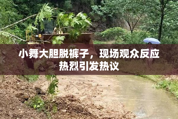 小舞大胆脱裤子，现场观众反应热烈引发热议