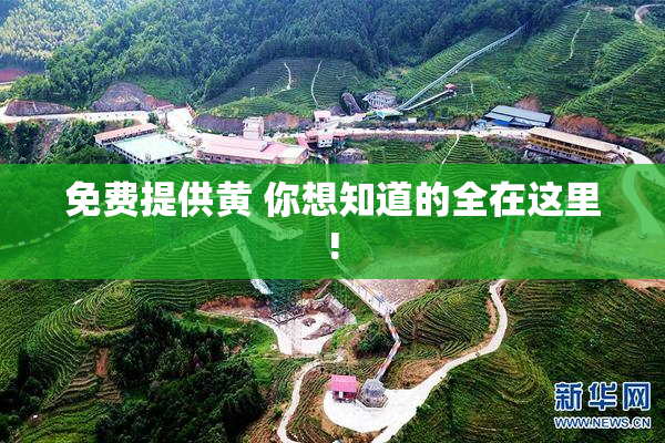 免费提供黄 你想知道的全在这里!