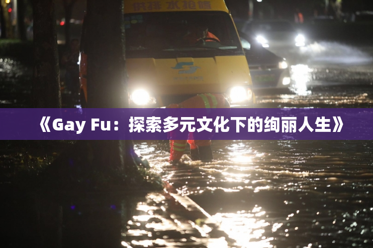 《Gay Fu：探索多元文化下的绚丽人生》