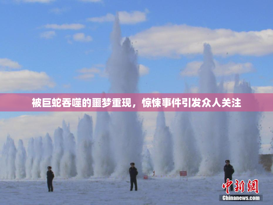 被巨蛇吞噬的噩梦重现，惊悚事件引发众人关注