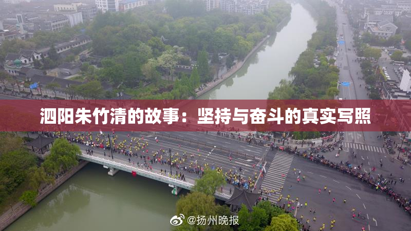 泗阳朱竹清的故事：坚持与奋斗的真实写照