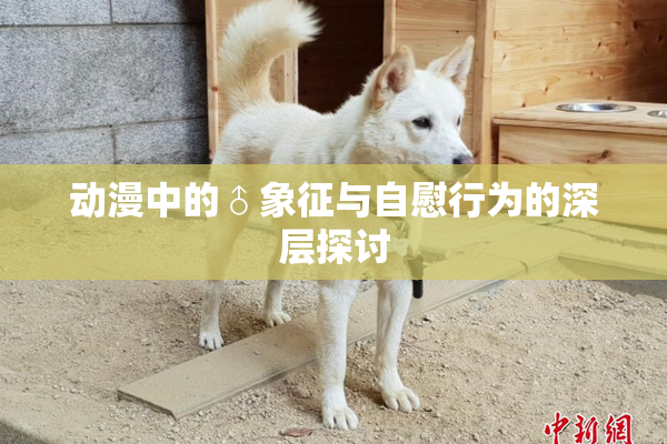 动漫中的♂象征与自慰行为的深层探讨