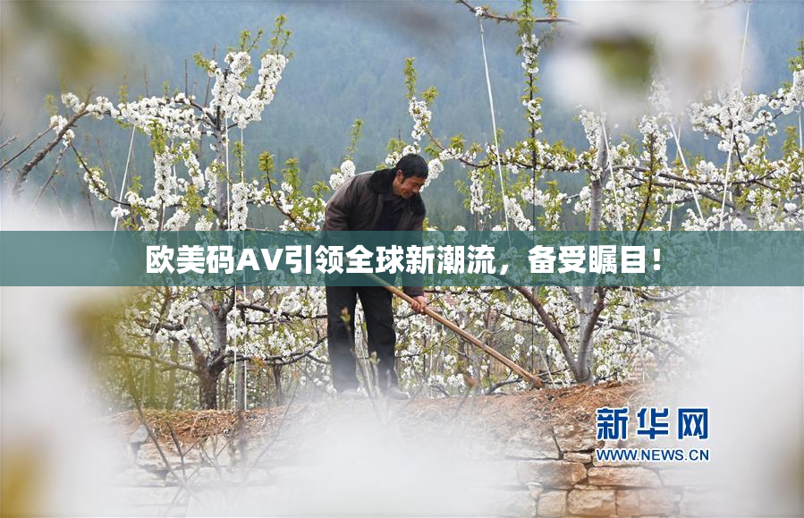 欧美码AV引领全球新潮流，备受瞩目！
