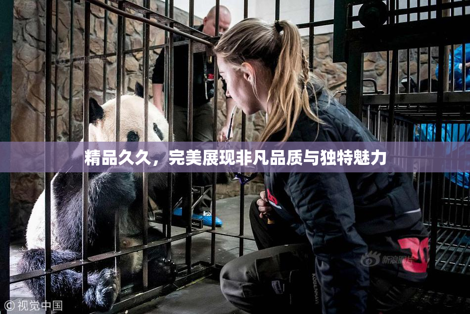 精品久久，完美展现非凡品质与独特魅力
