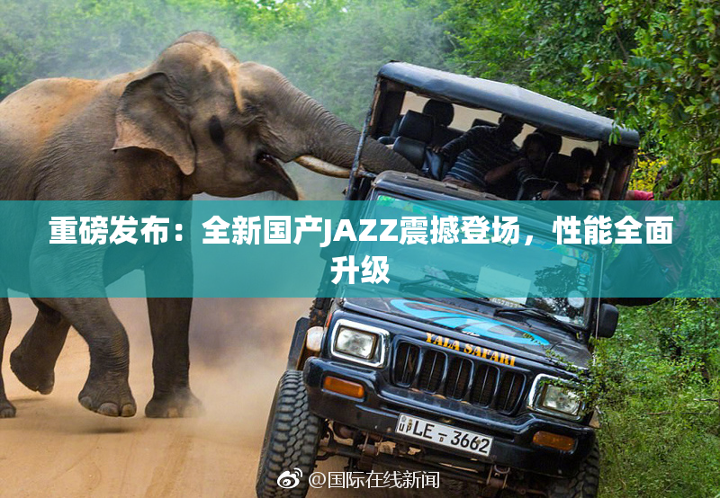 重磅发布：全新国产JAZZ震撼登场，性能全面升级
