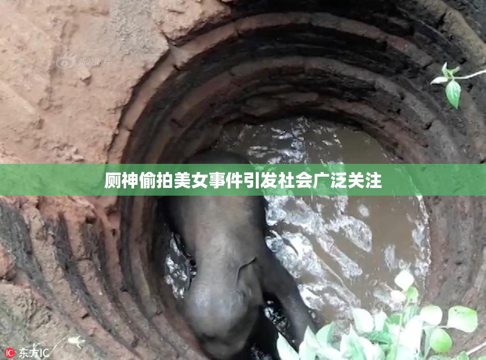 厕神偷拍美女事件引发社会广泛关注