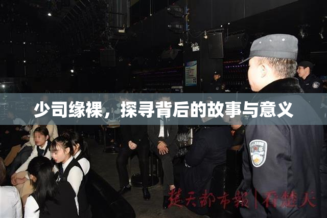 少司缘裸，探寻背后的故事与意义