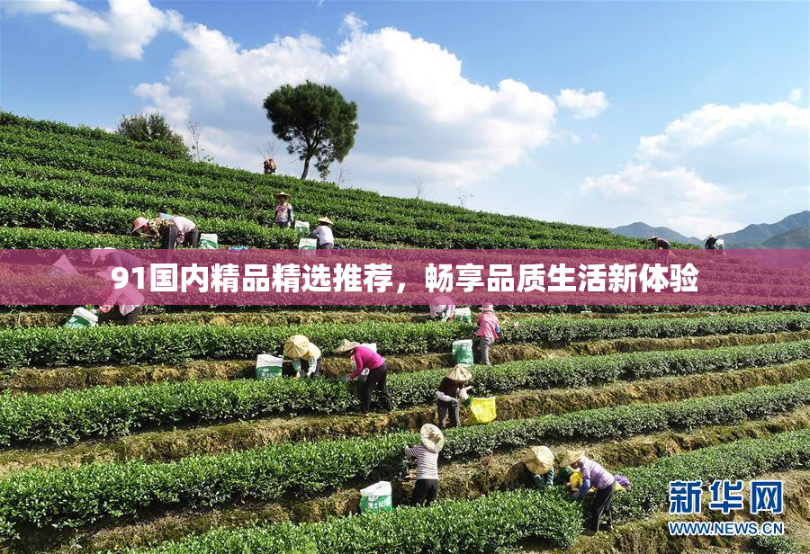 91国内精品精选推荐，畅享品质生活新体验