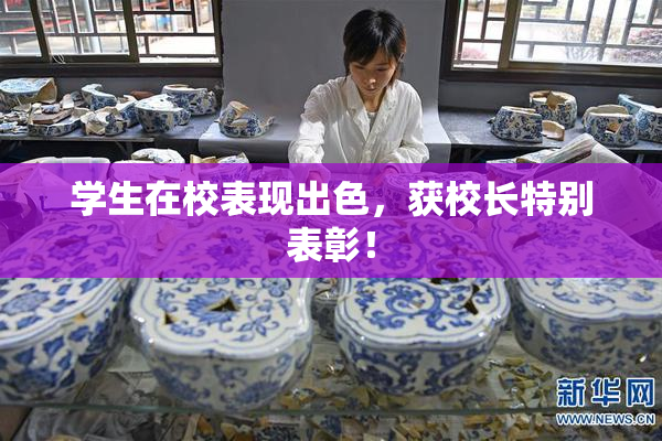 学生在校表现出色，获校长特别表彰！