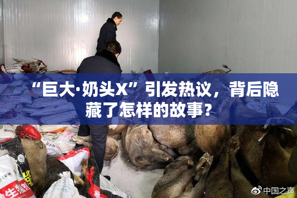 “巨大·奶头X”引发热议，背后隐藏了怎样的故事？