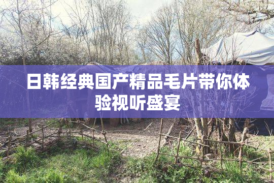 日韩经典国产精品毛片带你体验视听盛宴