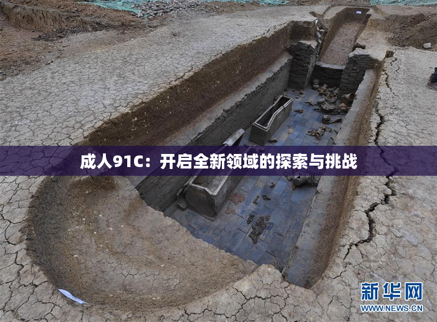 成人91C：开启全新领域的探索与挑战