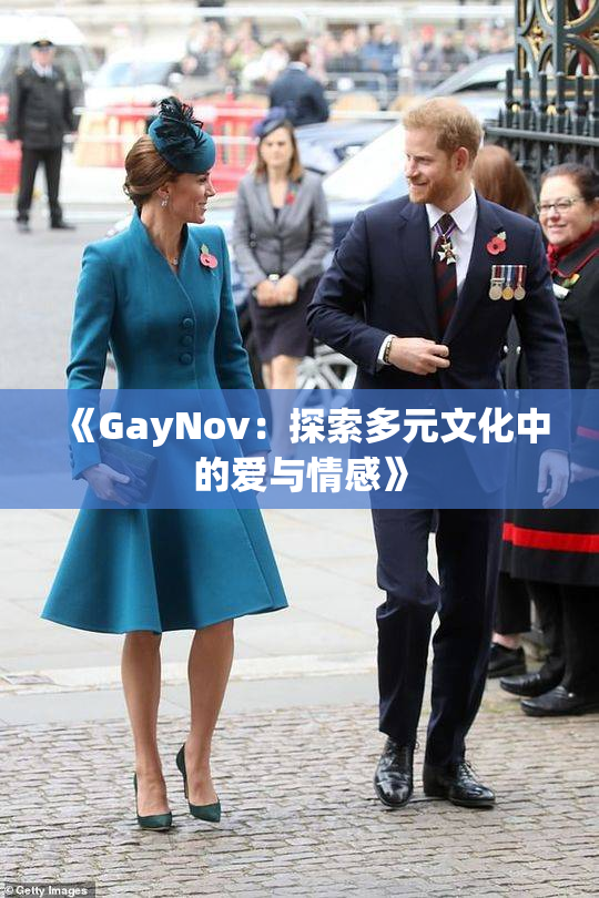 《GayNov：探索多元文化中的爱与情感》