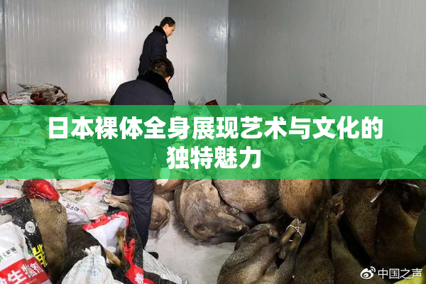 日本裸体全身展现艺术与文化的独特魅力