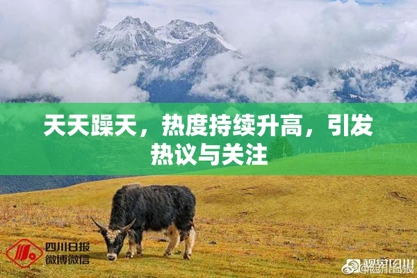 天天躁天，热度持续升高，引发热议与关注