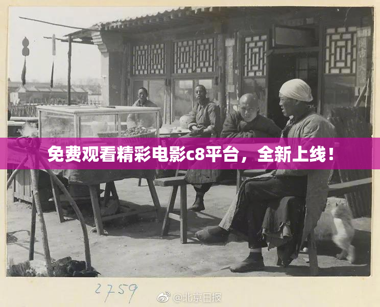 免费观看精彩电影c8平台，全新上线！