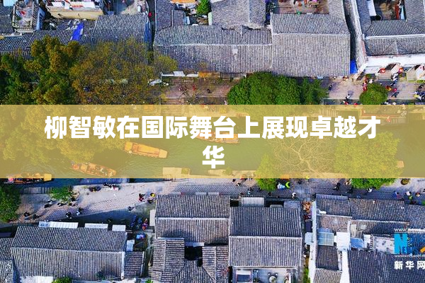 柳智敏在国际舞台上展现卓越才华