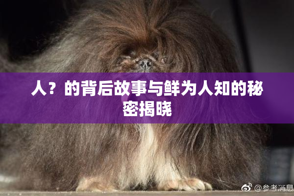 人？的背后故事与鲜为人知的秘密揭晓