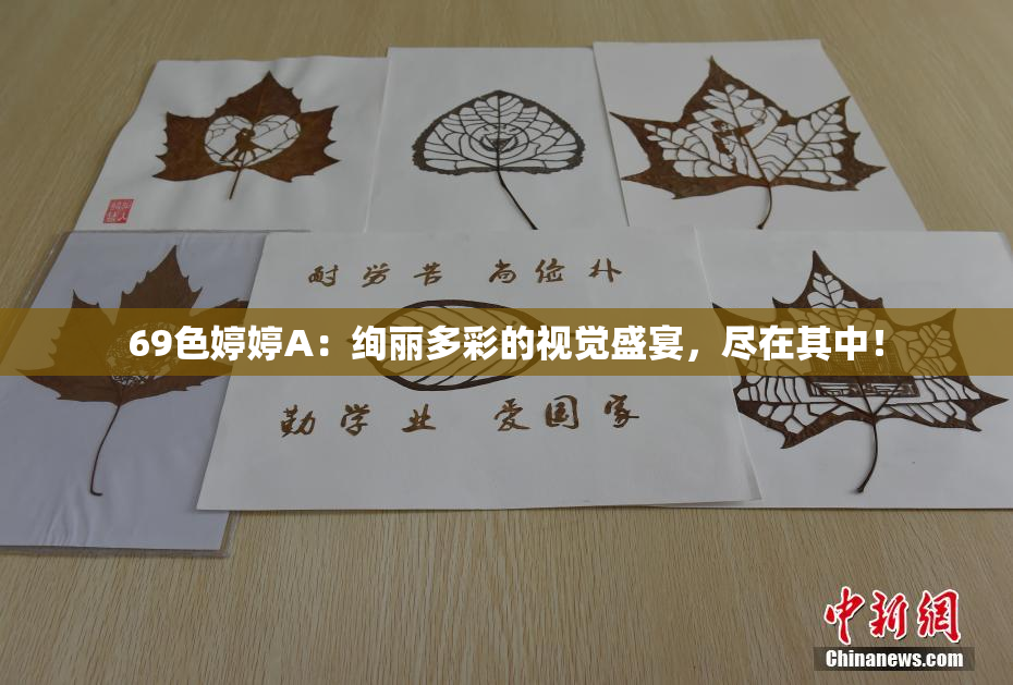 69色婷婷A：绚丽多彩的视觉盛宴，尽在其中！