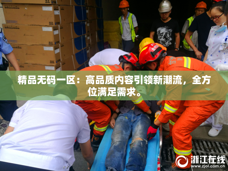 精品无码一区：高品质内容引领新潮流，全方位满足需求。