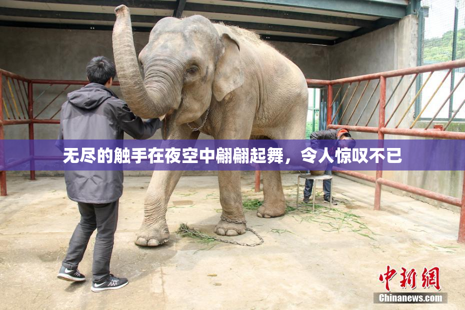 无尽的触手在夜空中翩翩起舞，令人惊叹不已