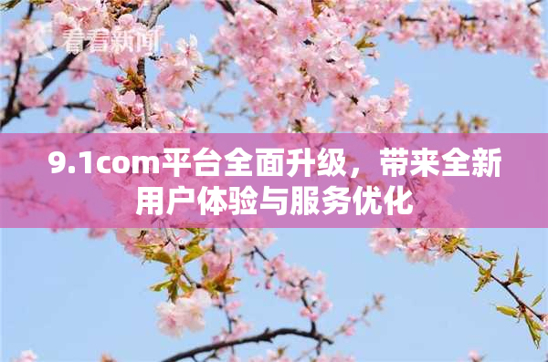 9.1com平台全面升级，带来全新用户体验与服务优化