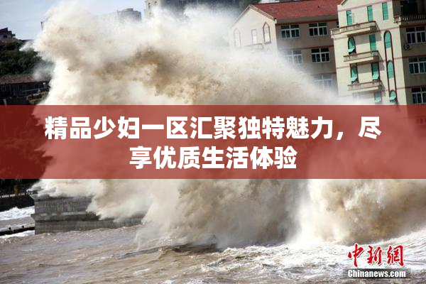 精品少妇一区汇聚独特魅力，尽享优质生活体验