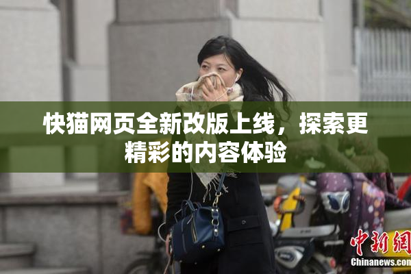 快猫网页全新改版上线，探索更精彩的内容体验
