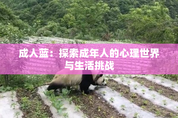 成人蓝：探索成年人的心理世界与生活挑战